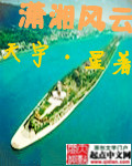小说：潇湘风云，作者：天宇星