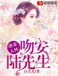 小说：诱妻入怀：吻安，陆先生，作者：白夭夭