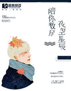 小说：陪你数尽夜空星辰，作者：平原夜