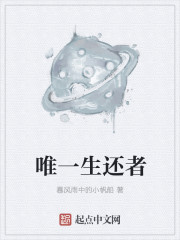 小说：唯一生还者，作者：暴风雨中的小帆船
