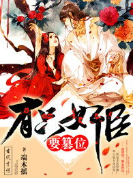 小说：有只奸臣要篡位，作者：端木摇