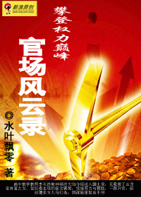 小说：官场风云录，作者：水叶飘零