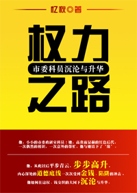 小说：市委科员沉沦与升华：权力之路，作者：忆秋