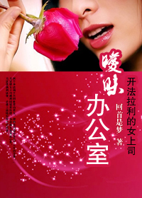 开法拉利的女上司:暧昧办公室