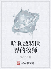 小说：哈利波特世界的牧师，作者：安岳先生