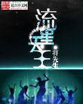 小说：流星天王，作者：将先生