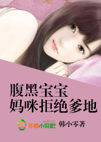 小说：腹黑宝宝，妈咪拒绝爹地，作者：韩小零