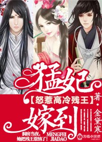 小说：猛妃嫁到，怒惹高冷残王，作者：金黛寒