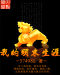 小说：我的明末生涯，作者：574981