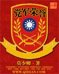 小说：党军荣誉，作者：莫少卿