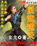小说：灵武逆天，作者：玄戈