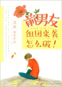 小说：前男友组团来袭怎么破！，作者：龙柒