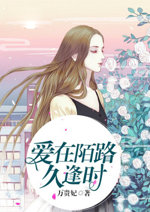 小说：爱在陌路久逢时，作者：万贵妃