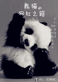 小说：熊猫的网红之路，作者：笑唧叽