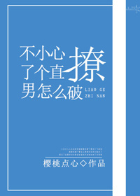 小说：不小心撩了个直男怎么破，作者：樱桃点心