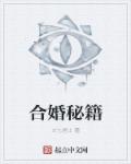 小说：合婚秘籍，作者：火七居士