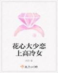 小说：花心大少恋上高冷女，作者：月韵