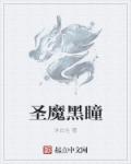 小说：圣魔黑瞳，作者：沐白生