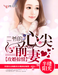 小说：攻婚掠情，二爷的心尖前妻，作者：半缕阳光