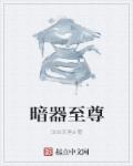 小说：暗器至尊，作者：泣血天堂a