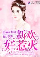 小说：总裁花样宠：新欢，好惹火！，作者：仙月