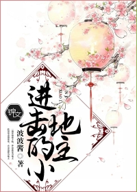 小说：进击的小地主，作者：波波酱