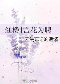 小说：宫花为聘[红楼].，作者：无法忘记的遗憾