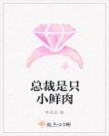 小说：总裁是只小鲜肉，作者：乔苏苏