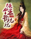 小说：强个王爷玩玩，作者：alle