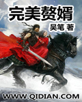 小说：完美赘婿，作者：吴笔