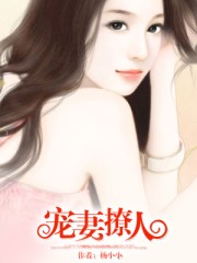 小说：宠妻撩人，作者：杨小小