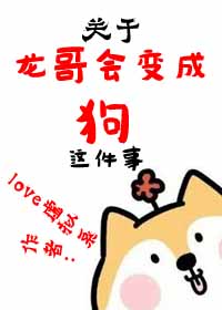 小说：[韩娱]关于龙哥会变成狗这件事，作者：love虚拟系