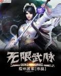 小说：无限武脉，作者：夏州盖余