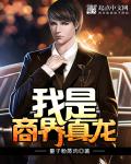 小说：我是商界真龙，作者：愤怒的抄手