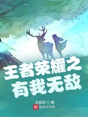 小说：王者荣耀之有我无敌，作者：念笯娇