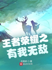 小说：王者荣耀之有我无敌，作者：念笯娇