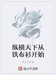 小说：纵横天下从铁布衫开始，作者：再入江湖