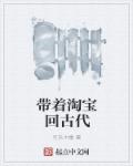 小说：带着淘宝回古代，作者：可乐中毒