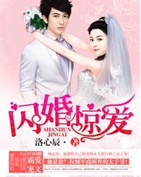 小说：闪婚惊爱，作者：洛心辰