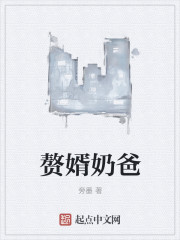 小说：赘婿奶爸，作者：旁墨
