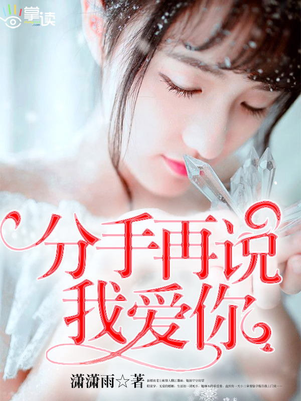 小说：分手再说我爱你，作者：潇潇雨