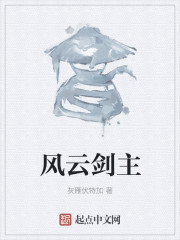 小说：风云剑主，作者：灰雁伏特加