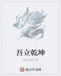 小说：吾立乾坤，作者：有n大总管