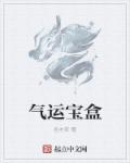小说：气运宝盒，作者：金木安