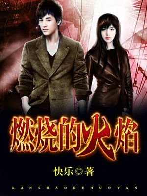 小说：燃烧的火焰，作者：快乐