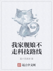 小说：圣舰提督英雄谭，作者：圆才是真理