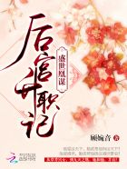 小说：盛世凰谋：后宫升职记，作者：顾婉音