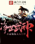 小说：净世武神，作者：不是包包大人