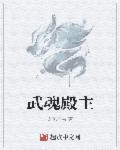 小说：武魂殿主，作者：龙见而雩
