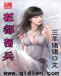 小说：花都奇兵，作者：三羊猪猪